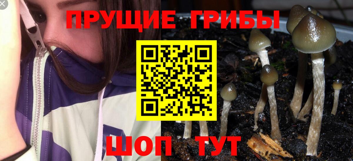 Галлюциногенные грибы Psilocybine cubensis  наркошоп  Псилоцибиновые грибы Psilocybe  Кострома  Вход с VPN 